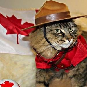 Meet your Posher, Joyce